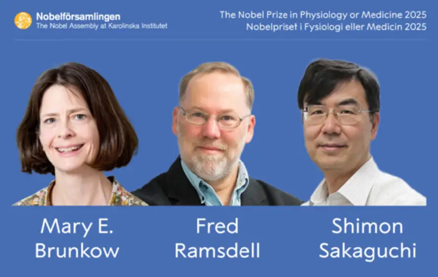 Nobel de Medicina 2025: Brunkow, Ramsdell y Sakaguchi ganan por descubrir la tolerancia inmunológica periférica