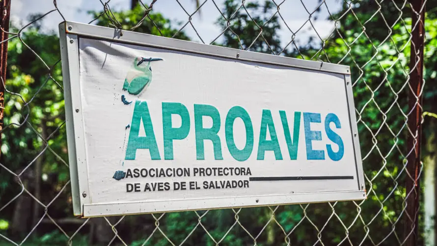 Representantes de Aproaves enfrentarán audiencia este martes