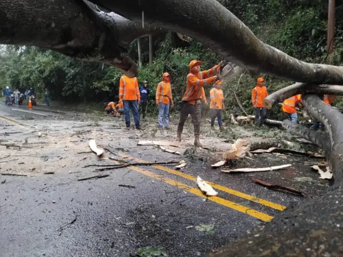 Fovial ha atendido más de 730 emergencias por lluvias en lo que va de 2025