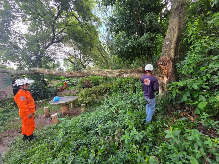 Al menos 30 emergencias leves fueron atendidas por alcaldía de San Salvador Centro debido a las últimas lluvias