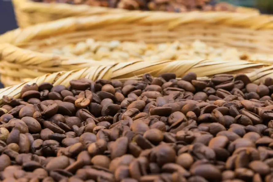 Exportaciones de café salvadoreño crecen 40 % en ingresos el último semestre