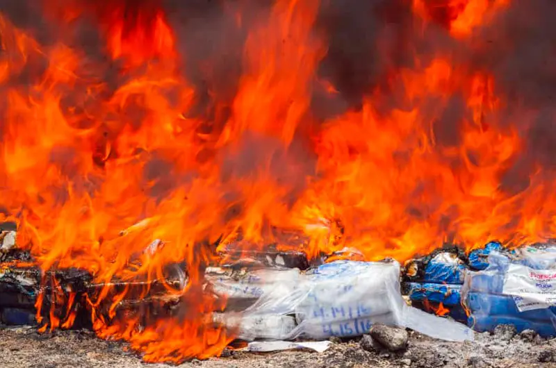 Destruyen droga valorada en más de $9 millones