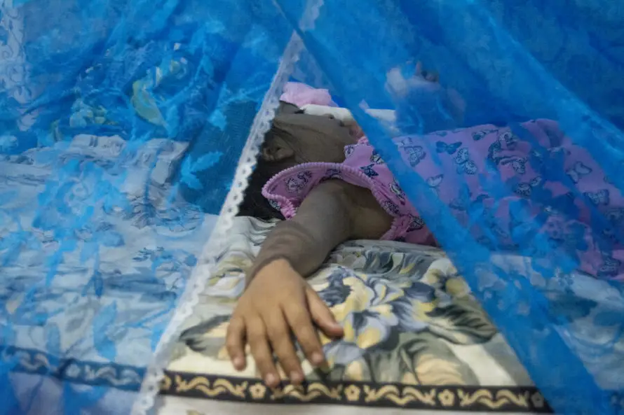 Casos sospechosos de dengue reportan una baja del 37 % en cuatro semanas, según Minsal