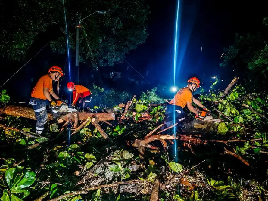 Lluvias del jueves causan derrumbes y caída de árboles en San Salvador, Santa Ana y otros puntos del país