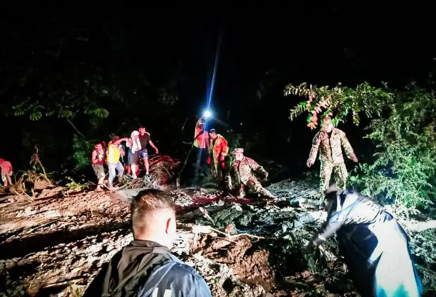 Protección Civil reporta 273 árboles caídos en octubre y 78 emergencias desde el lunes por la noche