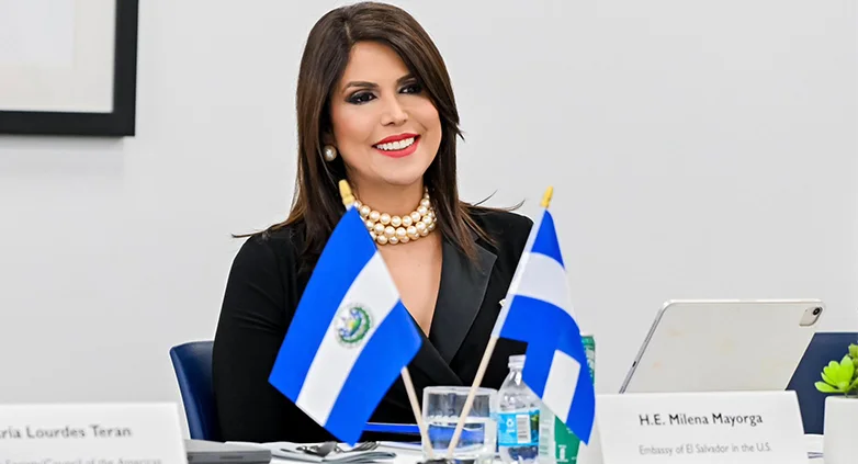 Embajadora dice consulados "están volcados" para apoyo a migrantes, pero reconoce que son "respetuosos de las políticas" de EE.UU