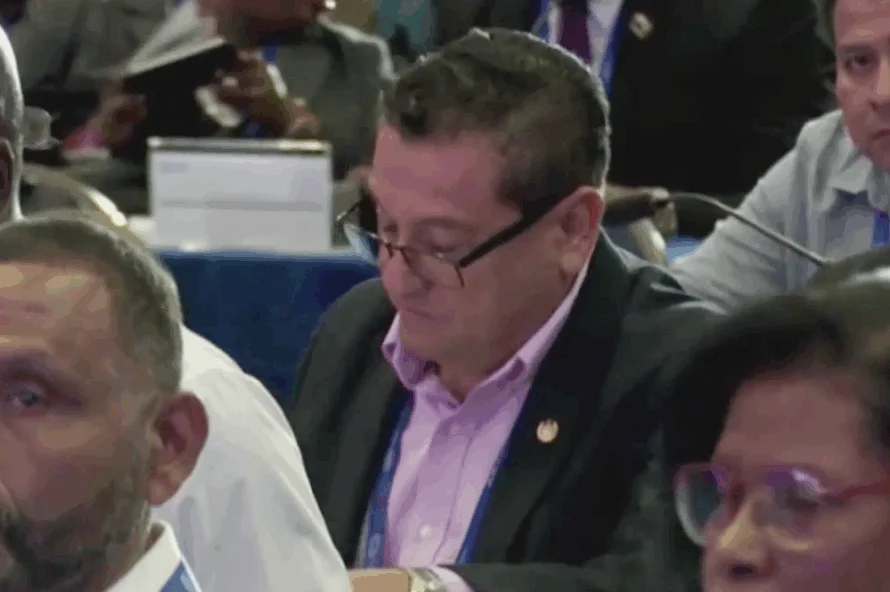 Castro destaca conformación del Consejo del Trabajo ante OIT, pero pide acompañamiento del organismo para el sector sindical
