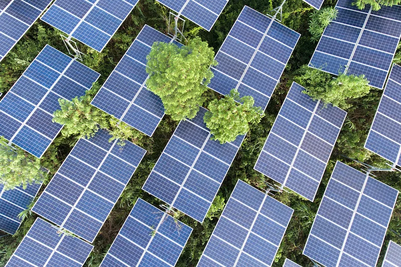 Asamblea reforma ley de electricidad para regular los precios de energía solar