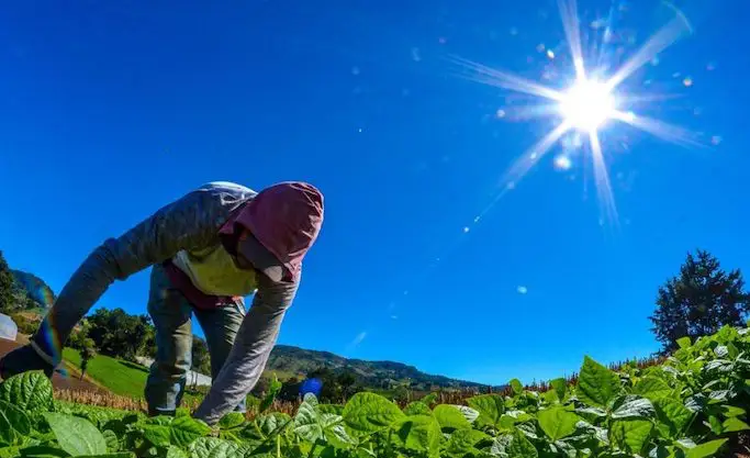 Diputados avalan $31 millones del FIDA, de la ONU, para seguridad alimentaria