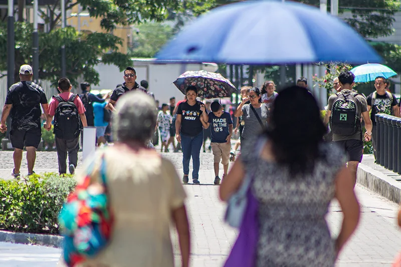 Salvadoreños entre 31 y 40 años de edad reportan mejor dominio del inglés frente a los jóvenes, según informe
