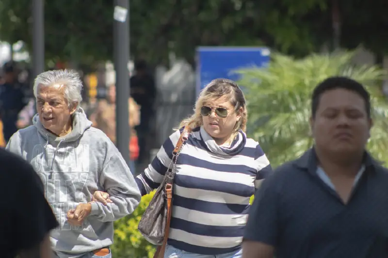 Finca Los Andes en Santa Ana reportó la temperatura más baja del sábado con 10.8°C