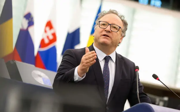 Misión electoral de la UE destaca "civismo" y alta participación en elecciones hondureñas