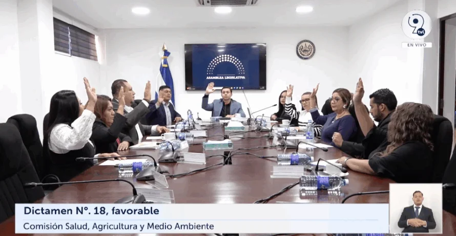 Dictaminan prórroga para que MAG pueda donar o vender madera decomisada por la PNC