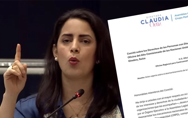 Diputada Ortiz alertó a ONU sobre supresión de tribunal sancionador en ley de personas con discapacidad