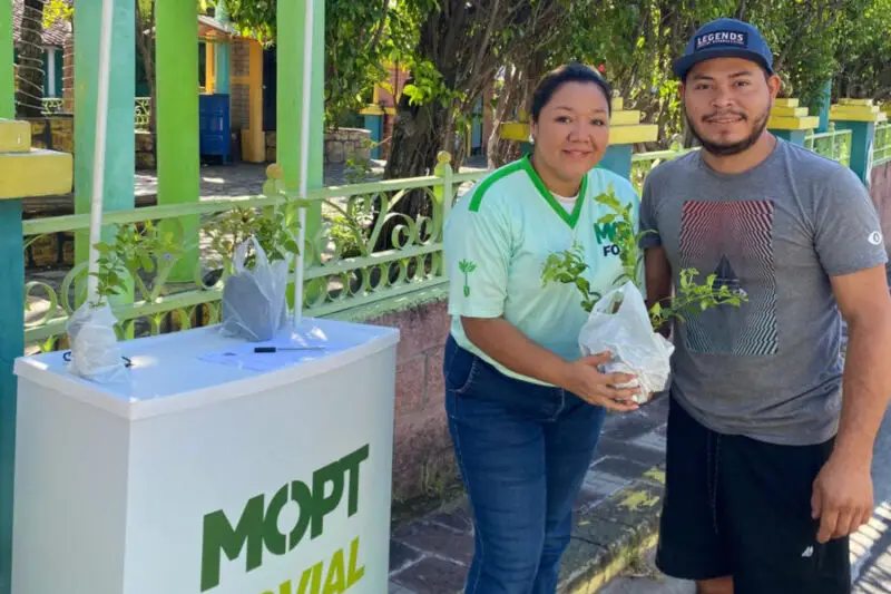 Obras Públicas entregará árboles y plantas gratis en cinco departamentos del país