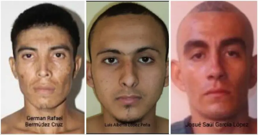 Penas de hasta 80 años de cárcel para tres pandilleros de la MS por delitos de homicidio, robo y agrupaciones ilícitas