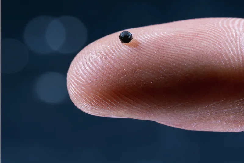 Microrrobots aplicarán fármacos con precisión en el cuerpo y evitarán los efectos secundarios