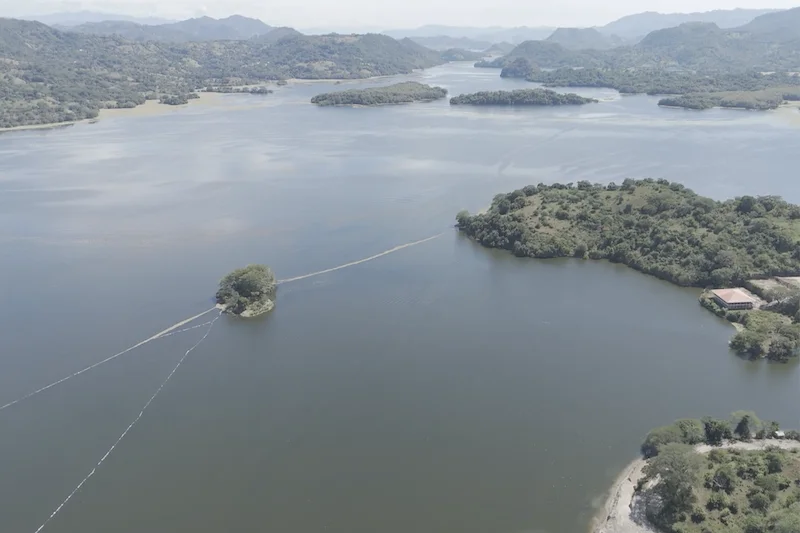 La limpieza del Lago Suchitlán eliminó lechuga acuática equivalente a 70 estadios de fútbol