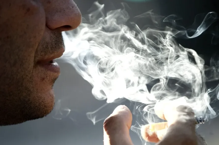 Siete cárteles mexicanos controlan mercado ilícito de vapeadores y tabaco, según informe
