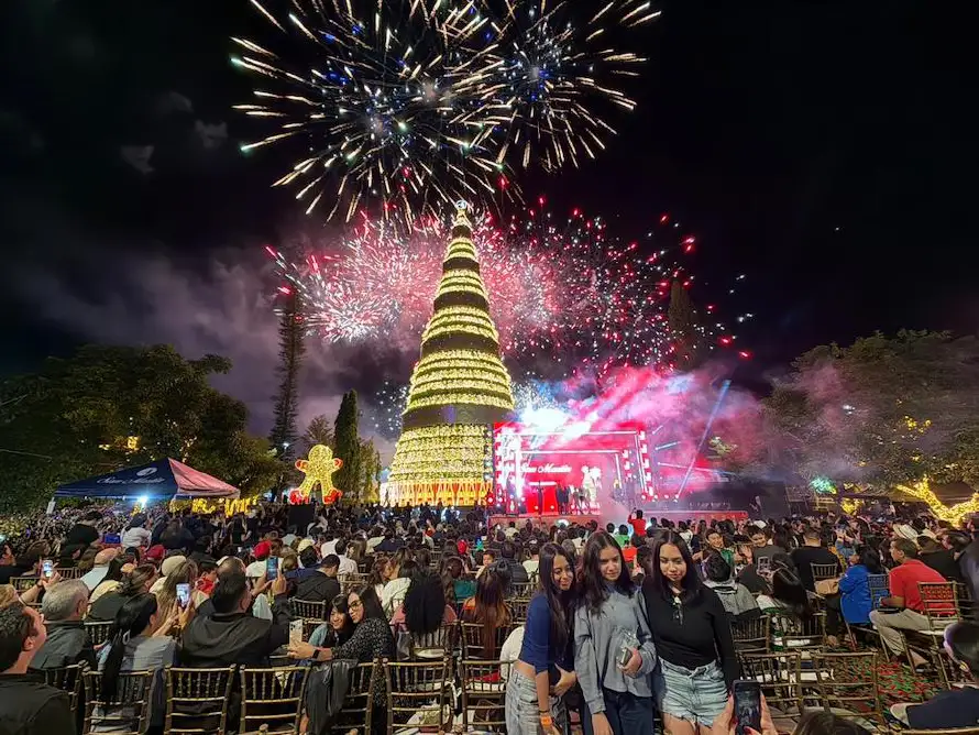 Cientos asisten al encendido del árbol navideño de 50 metros en la Plaza Salvador del Mundo