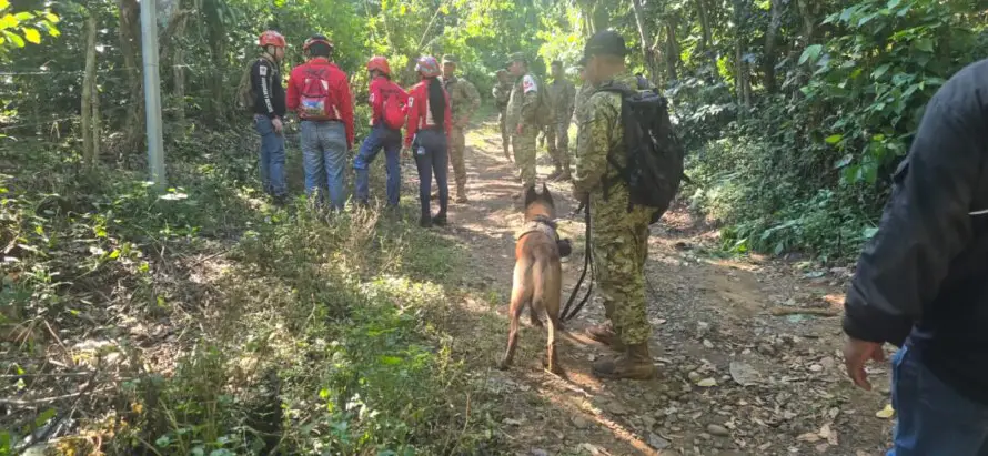 Encuentran a joven con autismo que había desaparecido en Usulután
