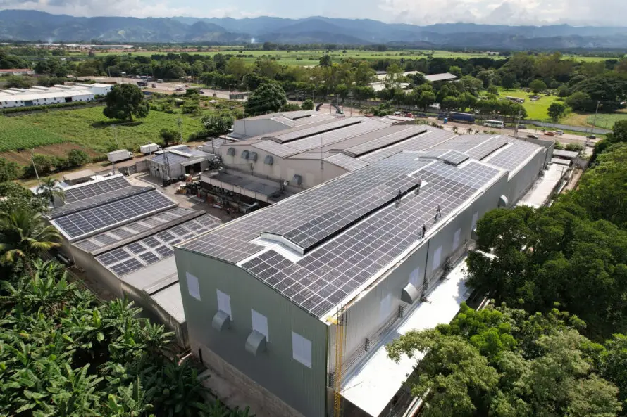 Presentan nueva empresa de energía solar Trinergy que apuesta por reducir el costo energético
