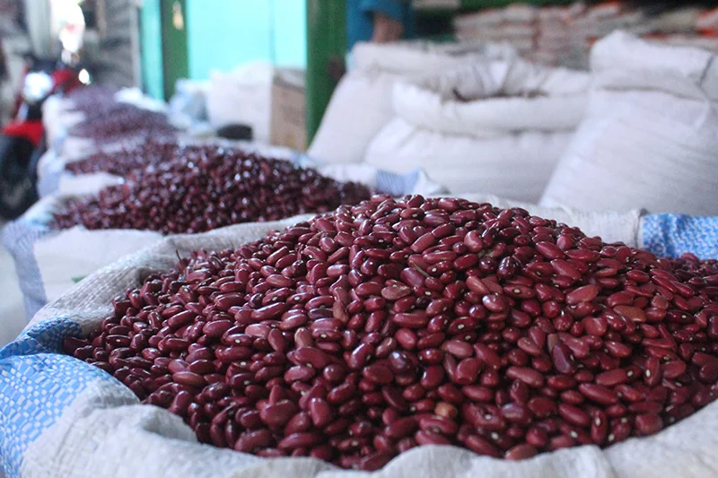 Productores proyectan cosecha histórica y estabilidad en precios de frijol y maíz