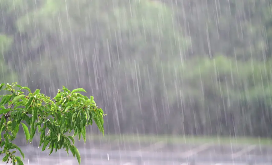Medio Ambiente prevé lluvias y vientos para la tarde y noche de este martes