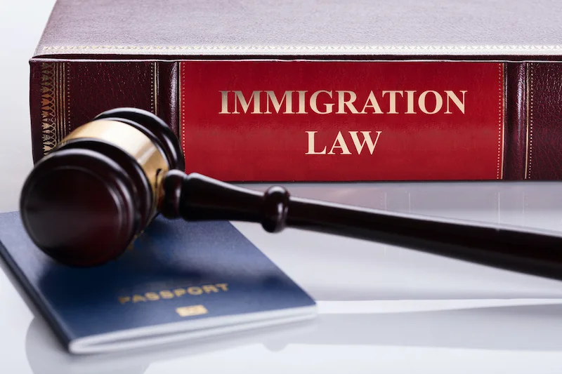 Abogada experta en migración advierte riesgos ante jueces sin experiencia migratoria en EE.UU.