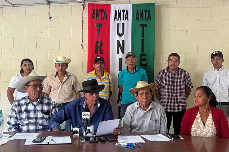 Productores denuncian a especuladores: compran a $70 quintal de frijoles y lo venden a $125