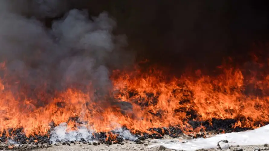 Destruyen droga valorada en más de $42,000 que fue incautada en 22 casos