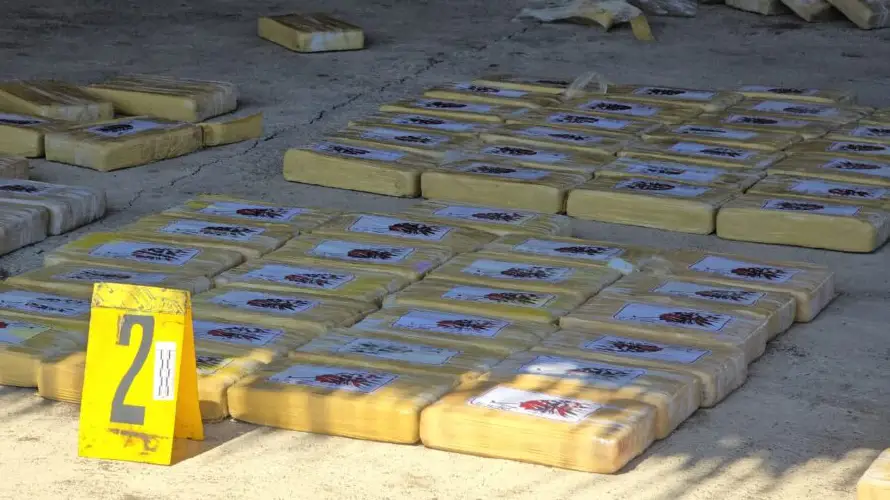 Decomisan 58 kilos de cocaína y otros 559 de marihuana en distintas operaciones en Bolivia