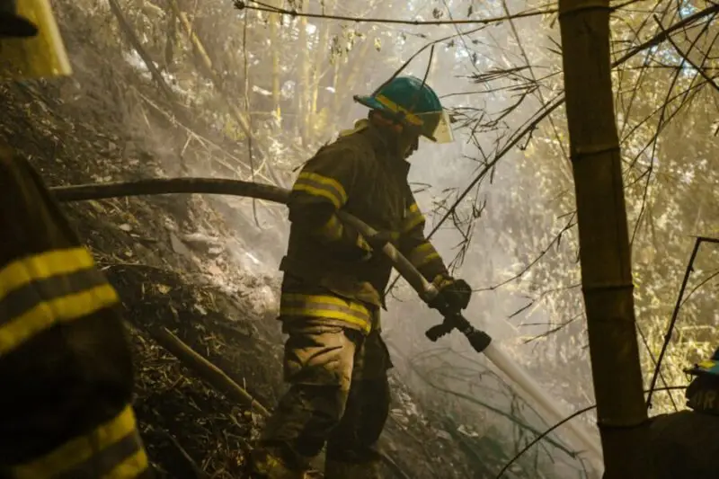 Más de 130 incendios han ocurrido la última semana de diciembre en El Salvador