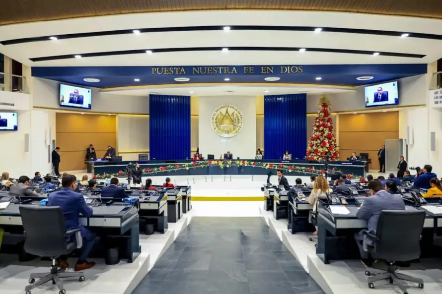 Las 57 oenegés y fundaciones incluidas en la ley aprobada de presupuesto 2026