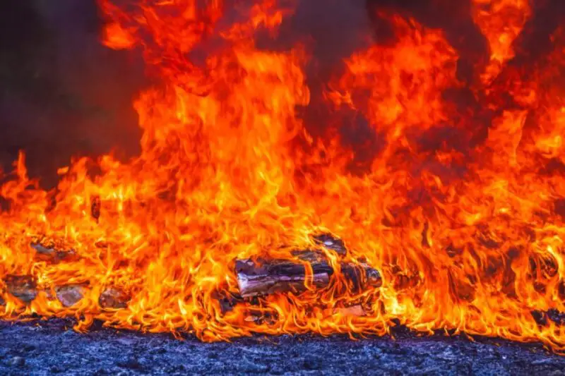 Destruyen 150 kilos de cocaína incautada con valor de $3.7 millones
