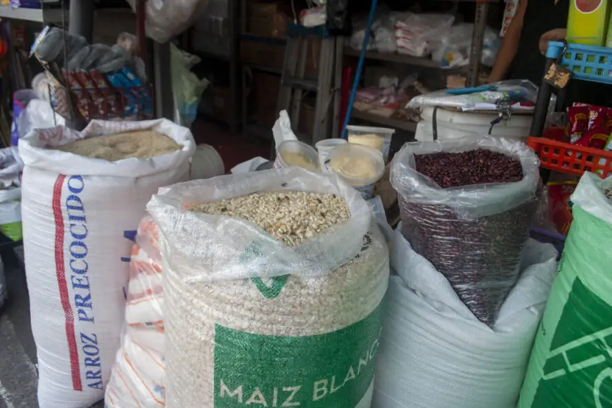 MAG publica precios de referencia de granos básicos: ¿en cuánto queda el quintal de frijoles y maíz?