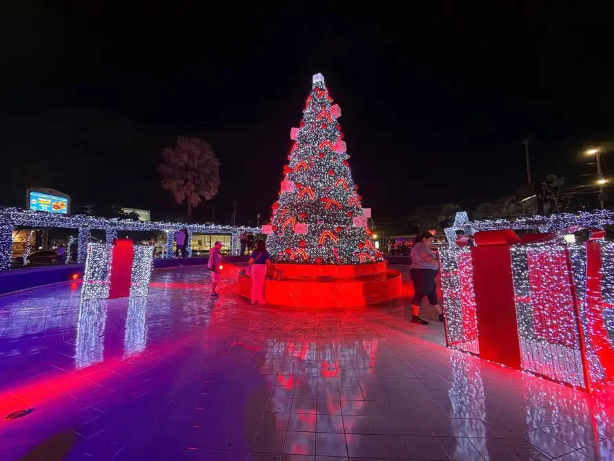 Davivienda iluminó San Salvador con su tradicional decoración navideña en el marco de sus 140 años de trayectoria