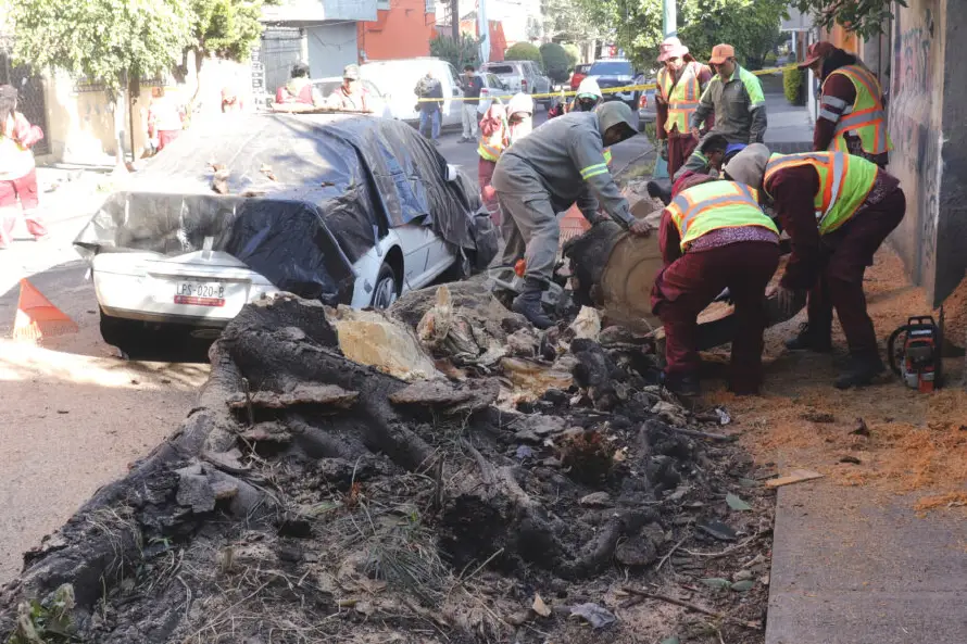 Un fuerte sismo de magnitud 6,5 sacude el centro en México