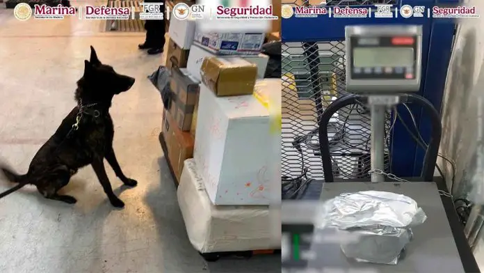 Decomisan en Aeropuerto de México un kilo de fentanilo con valor de 20 millones de dólares