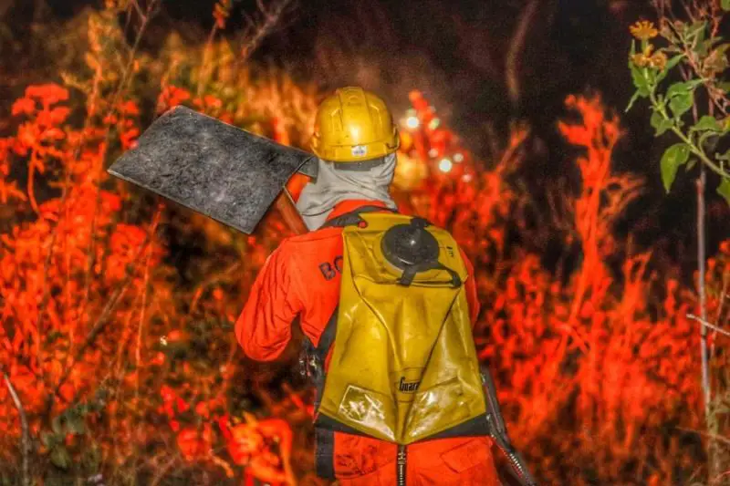 Bomberos alerta sobre alza exagerada de incendios: 569 en 26 días del año