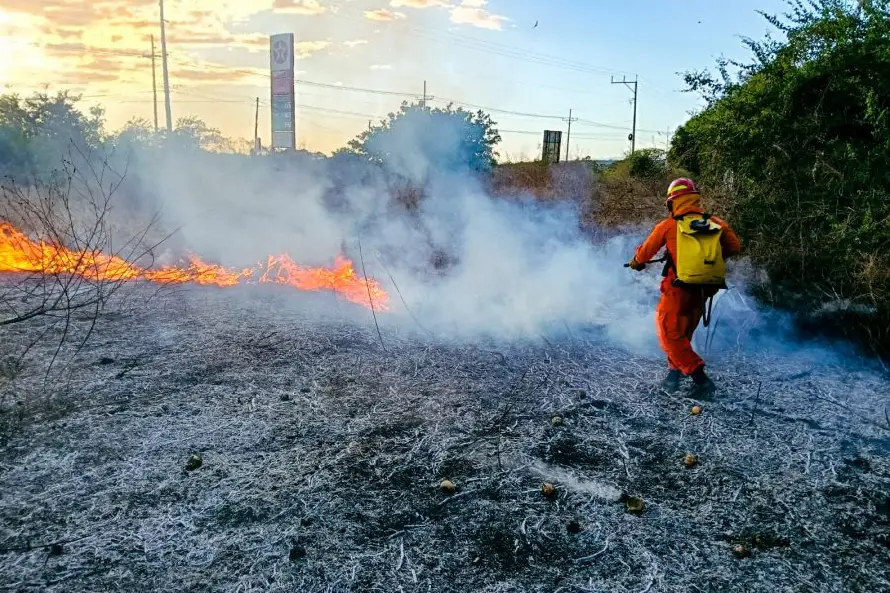 Incendios se disparan en 2026 y superan los 400 casos en primeras semanas de enero