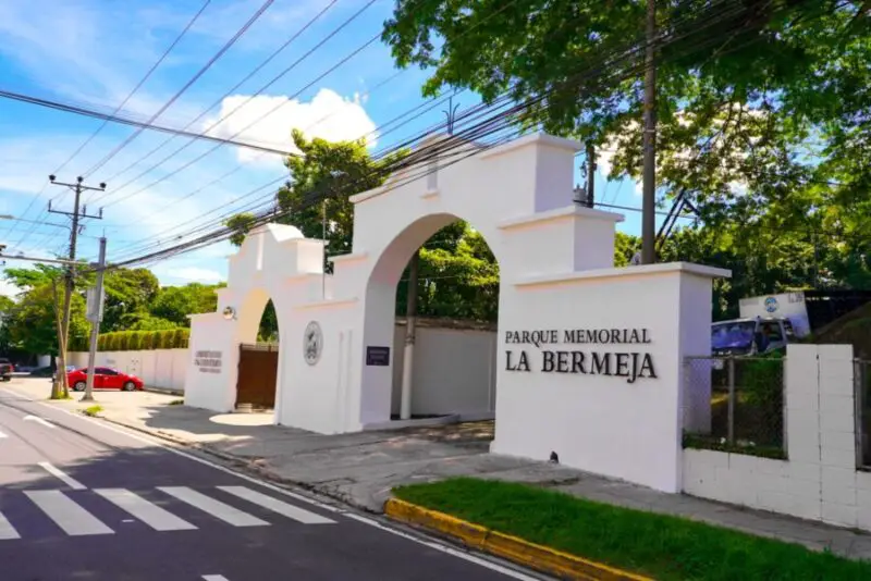 El espacio gratuito para mascotas en cementerio La Bermeja sería destinado a perros sin hogar
