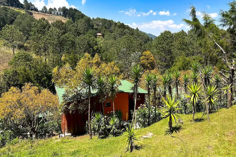 Frente frío provoca fuertes vientos y bajas temperaturas este domingo