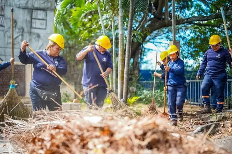 San Salvador Centro ejecuta plan de limpieza en 60 centros educativos con fumigación y poda preventiva