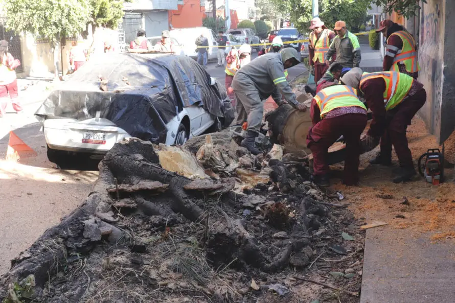 México registra 420 réplicas tras sismo de magnitud 6.5 en Guerrero que no dejó daños