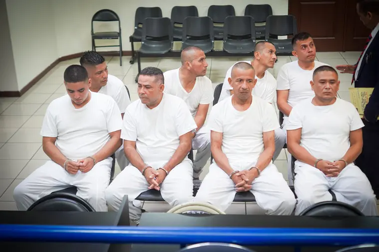 Enjuician a ocho extranjeros por tráfico ilícito de drogas valorada en más de $38 millones