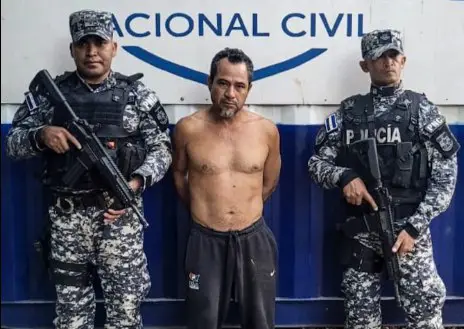 Arrestan a pandillero de la MS-13 señalado de ocultar sus tatuajes en Santa Ana