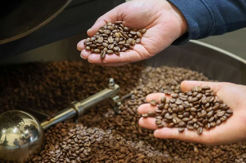 Ingresos por exportaciones de café crecen 137 % en primeros dos meses de 2026