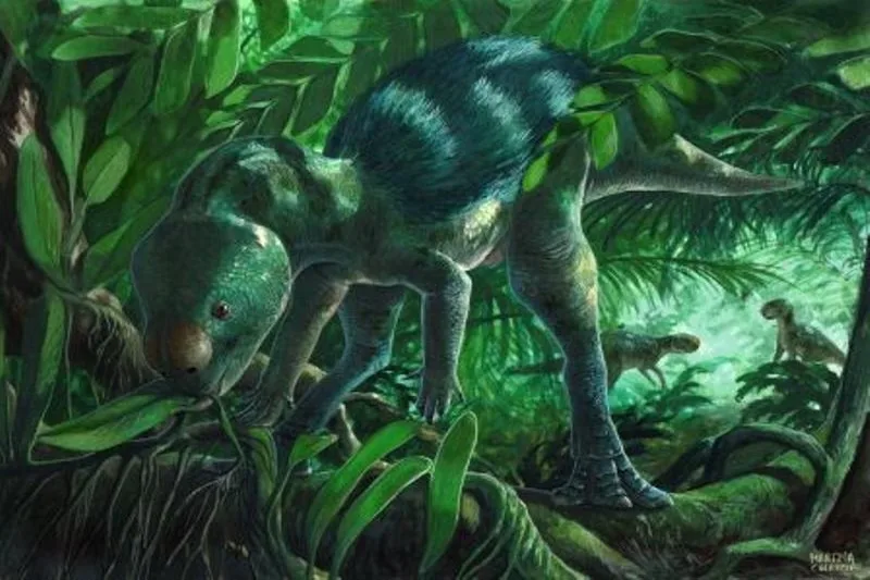 Descubren en España al dinosaurio más pequeño del mundo: medía solo 30 cm