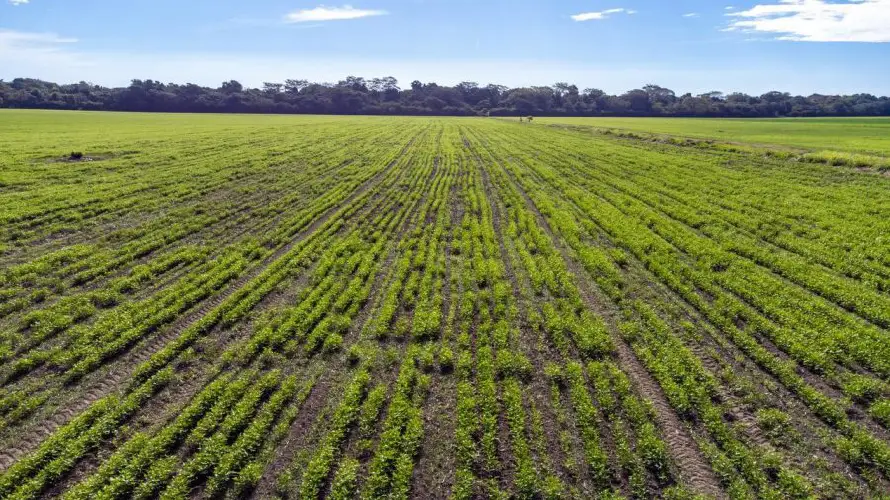 Agricultura anuncia incorporación de la FAO y del Programa Mundial de Alimentos al Programa Aumento a la Producción